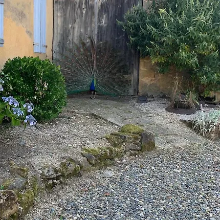 Lartigue Oda ve Kahvaltı